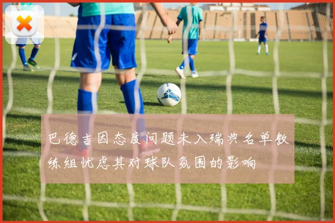 巴德吉因态度问题未入瑞典名单教练组忧虑其对球队氛围的影响